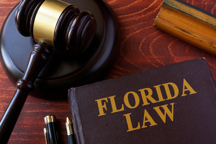 marchman act in florida laws