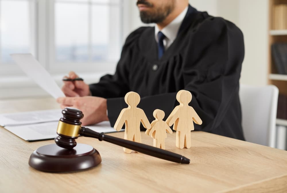 The legal counsel in child guardianship case