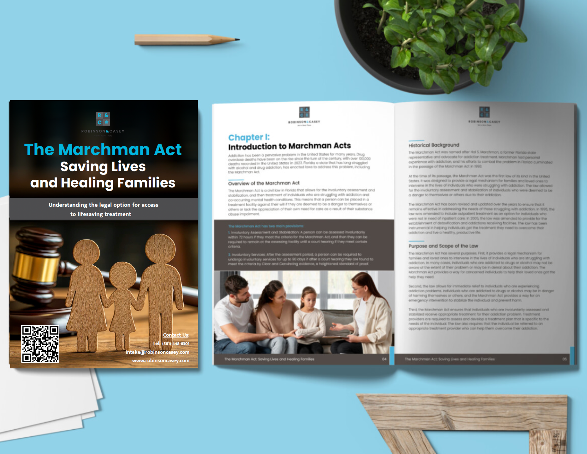 Marchman Act eBook